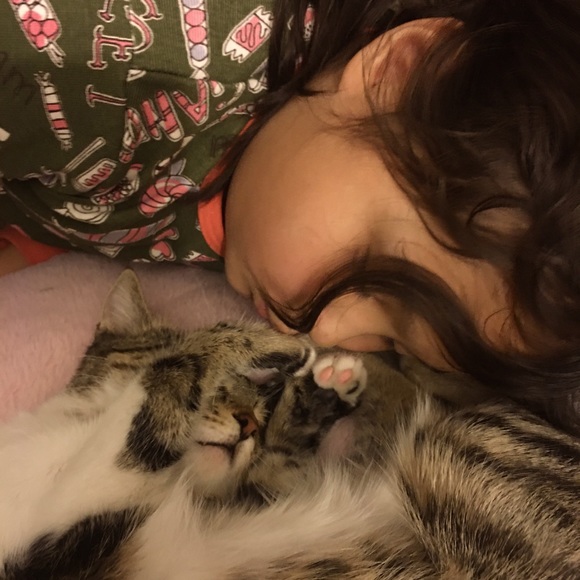 Meet your Posher, Daisy - Picture 4 of 7